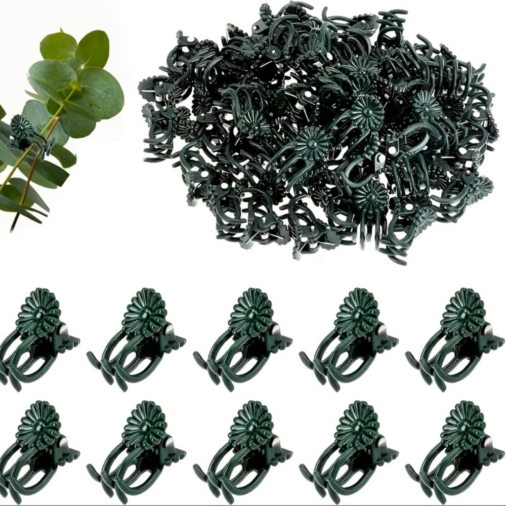 Plant Parenting - 100 Pieces of Orchid and Vine