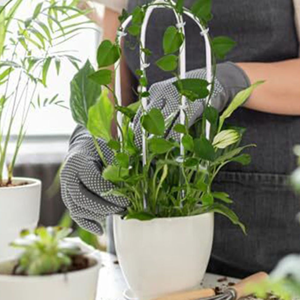 2pcs Acrylic U-shaped Plant Ra - Plant Parenting บทวิจารณ์และราคา