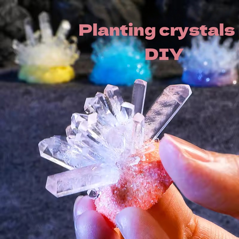 Crystal planting DIY scientifi - Plant Parent Or Plants บทวิจารณ์และราคา