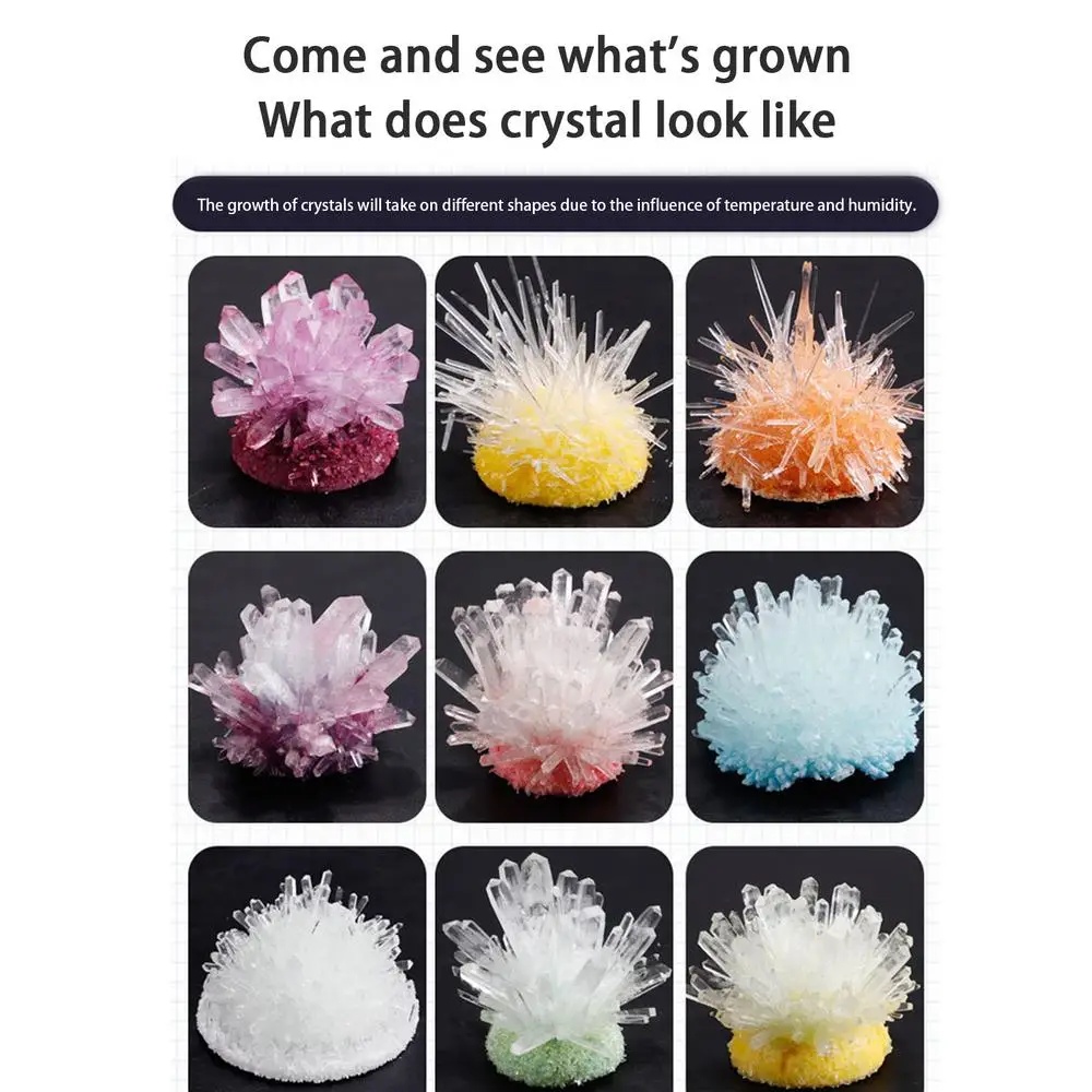 Crystal planting DIY scientifi - Plant Parent Or Plants บทวิจารณ์และราคา