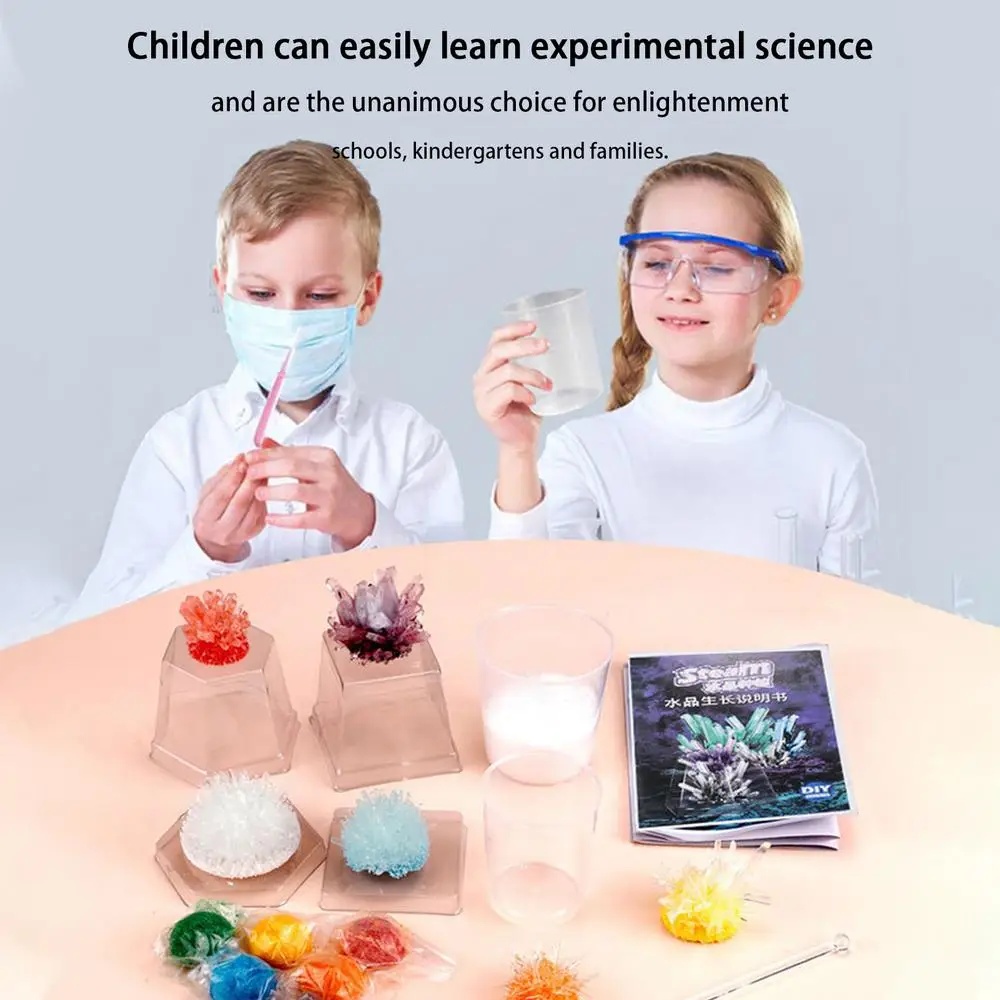 Crystal planting DIY scientifi - Plant Parent Or Plants บทวิจารณ์และราคา