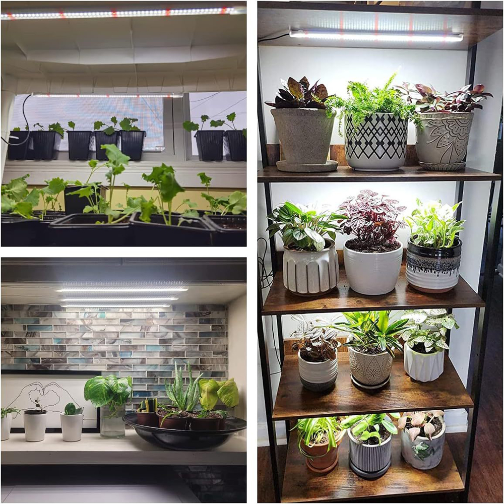 Indoor Led Plant Grow Light Wi - Plant Parenting บทวิจารณ์และราคา