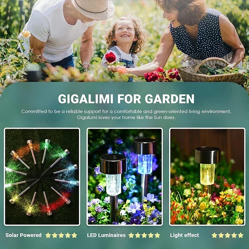 Solar Outdoor Lights Garden La - Plant Parenting บทวิจารณ์และราคา