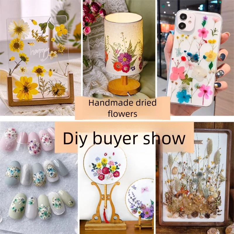 Mixed Dried Flowers, Pressed F - Plant Parental บทวิจารณ์และราคา