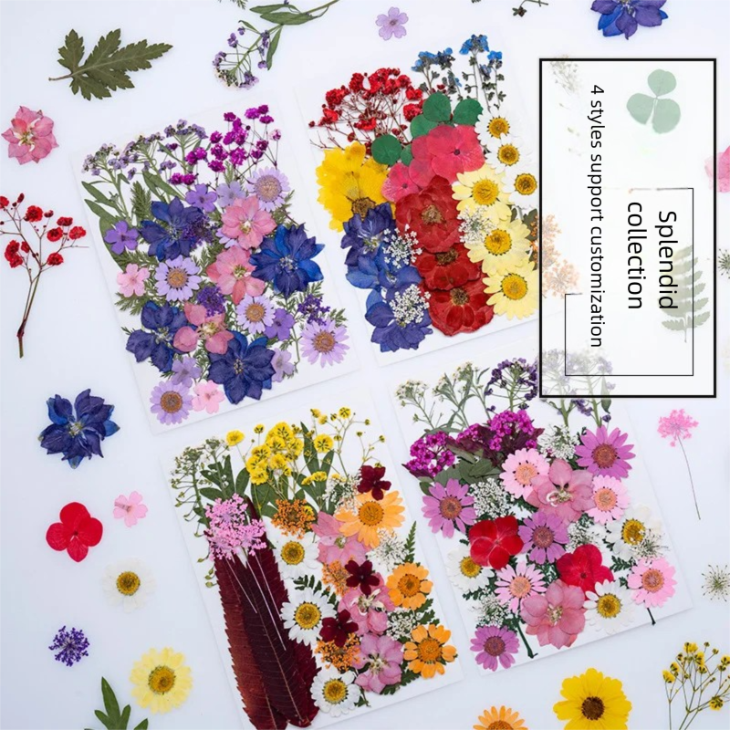 Mixed Dried Flowers, Pressed F - Plant Parental บทวิจารณ์และราคา
