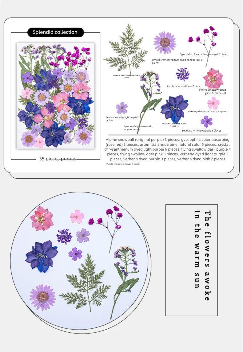 Mixed Dried Flowers, Pressed F - Plant Parental บทวิจารณ์และราคา