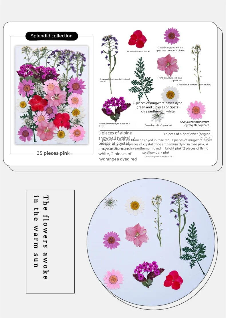 Mixed Dried Flowers, Pressed F - Plant Parental บทวิจารณ์และราคา