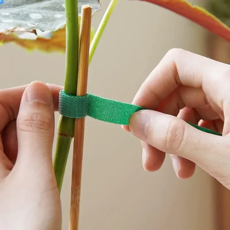 2M Reusable Plant Ties Nylon G - Plant Parenting บทวิจารณ์และราคา
