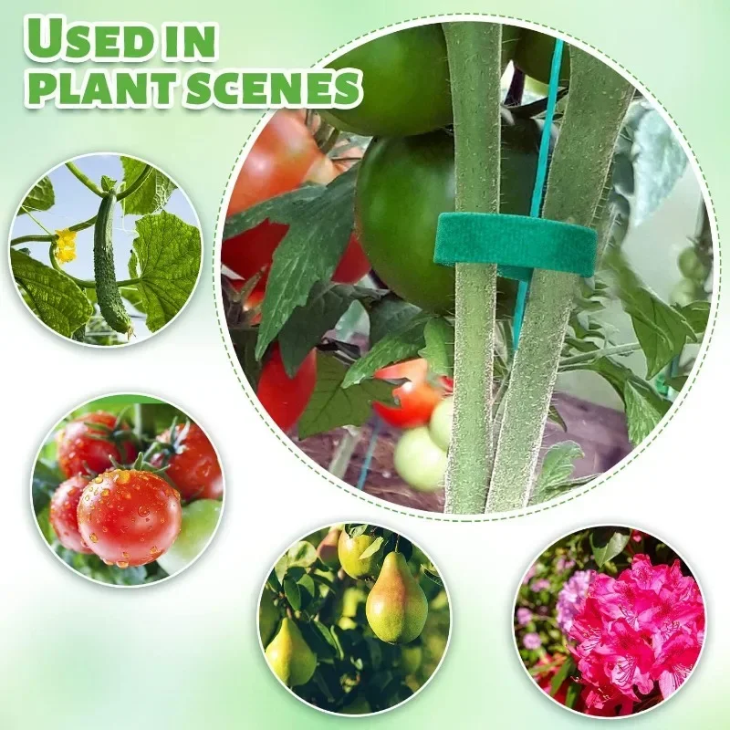 2M Reusable Plant Ties Nylon G - Plant Parenting บทวิจารณ์และราคา