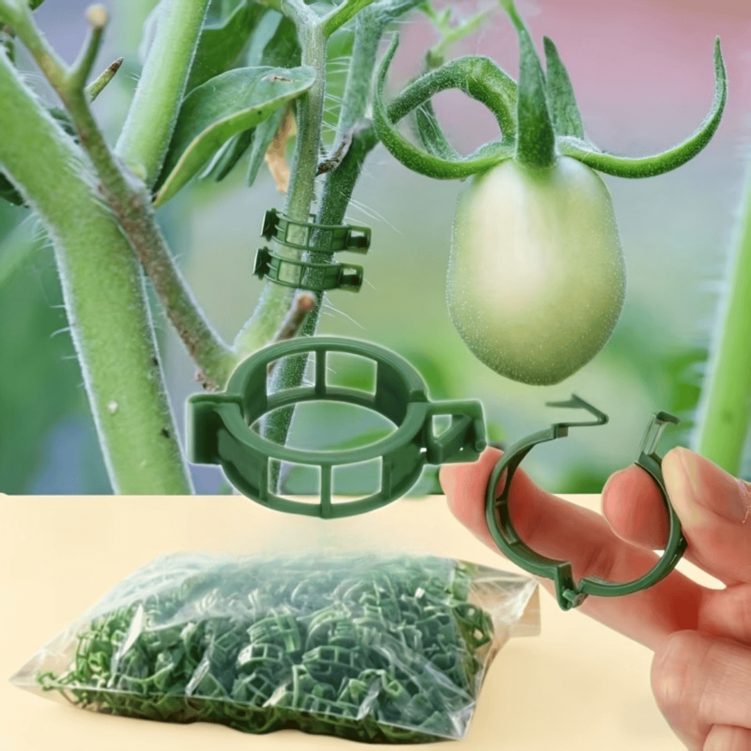 100/200Pcs Reusable Plant Supp - Plant Parenting บทวิจารณ์และราคา