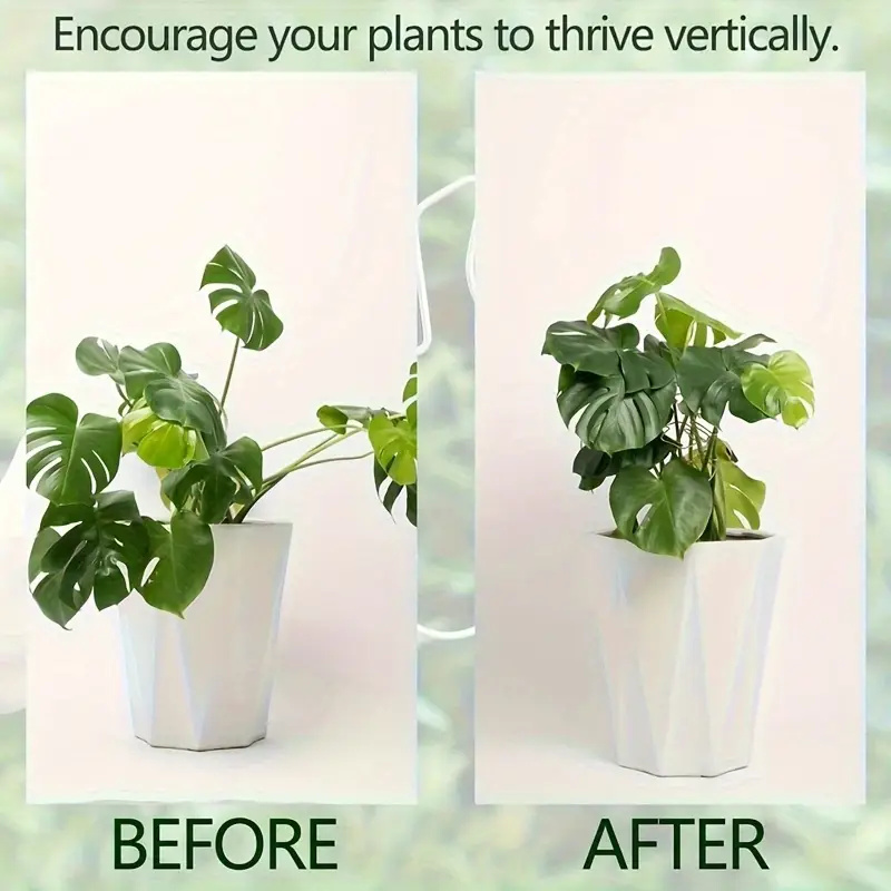 1Pc Large Iron Hanging Plant S - Plant Parenting บทวิจารณ์และราคา