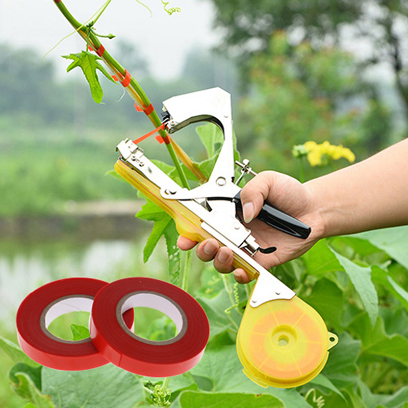 10 Pcs Tapetool Tapes PVC Plan - Plant Parenting บทวิจารณ์และราคา